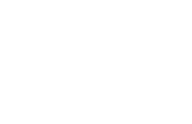 NASTAR logo